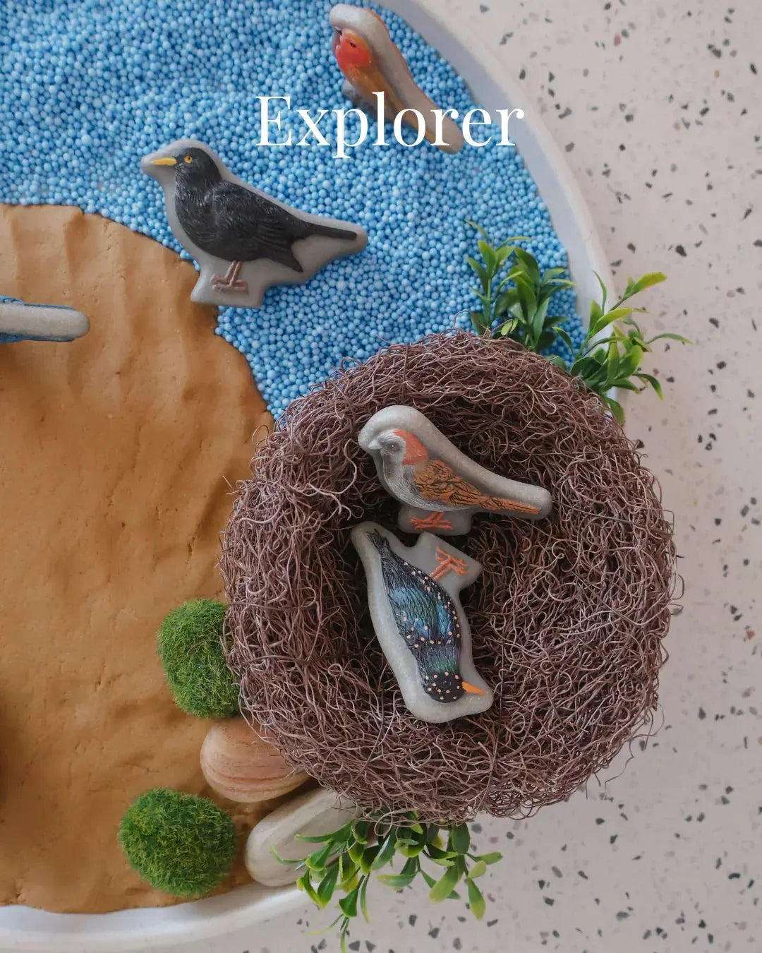 Sensory & Outdoor Play for Curious Explorers