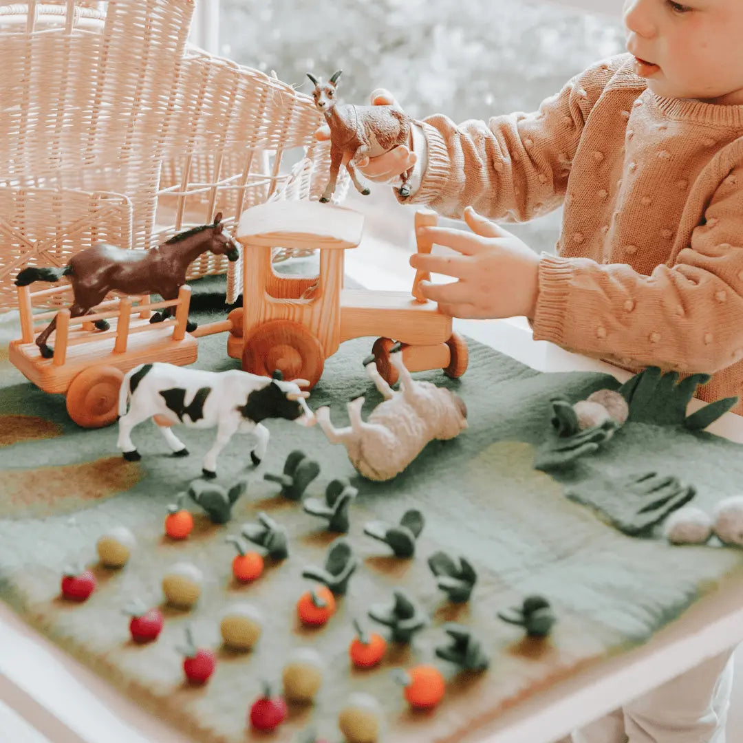 Toddler Toys