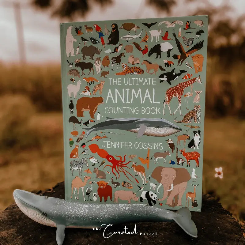 Children’s Books for Learning, Storytelling & Inclusive Play