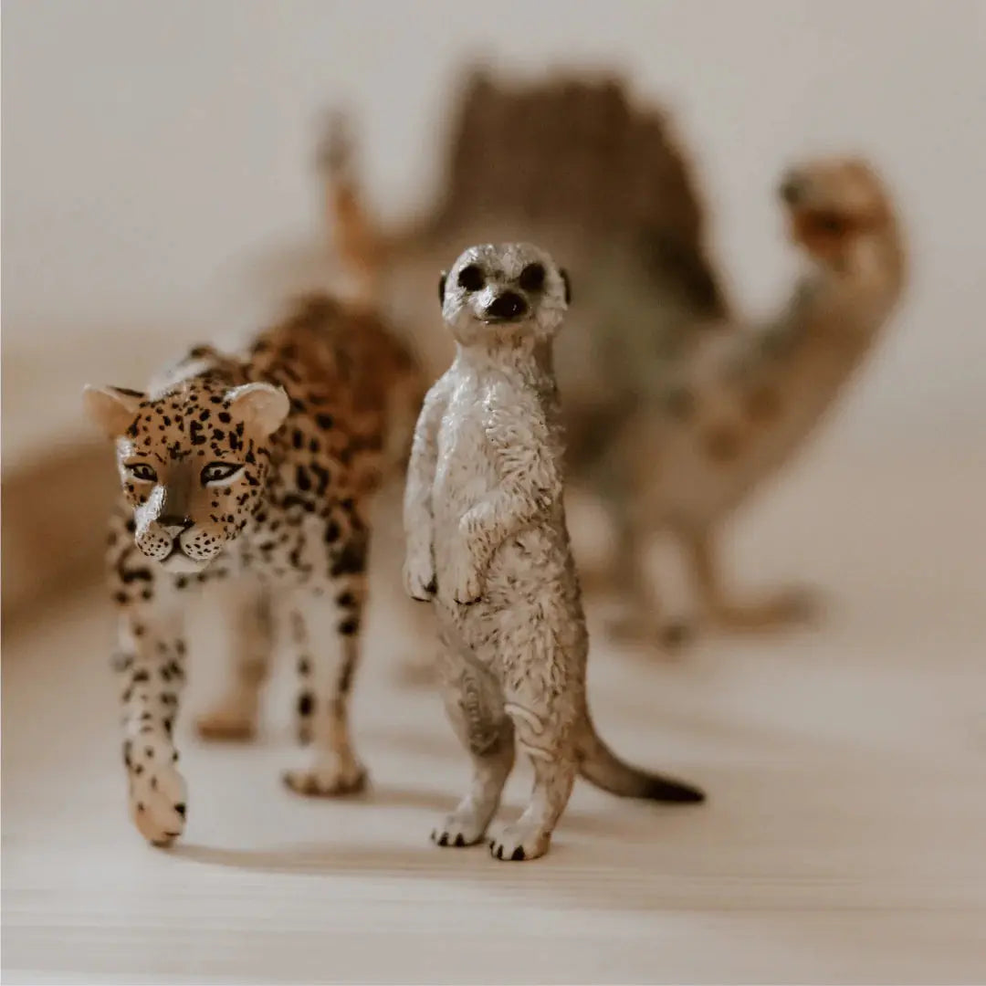 The Curated Parcel - CollectA