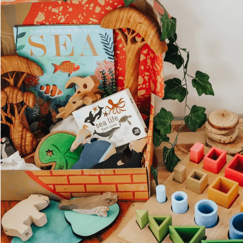 The Curated Parcel - Play & Learn Boxes