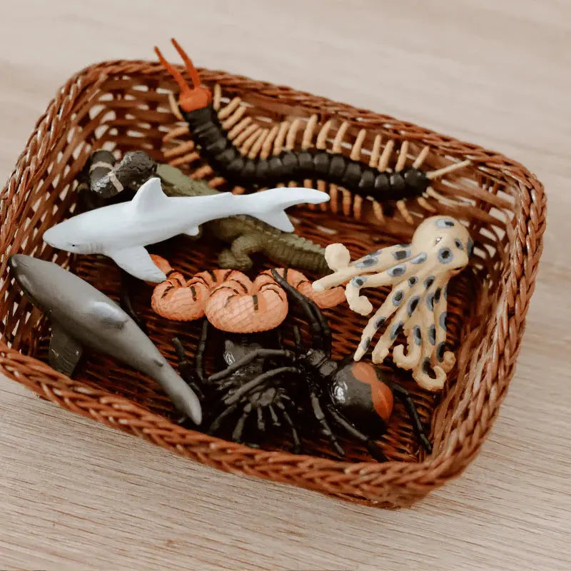 The Curated Parcel - Wild Republic