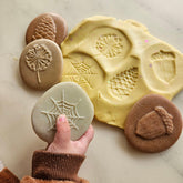 Yellow Door // Let's Investigate - Nature