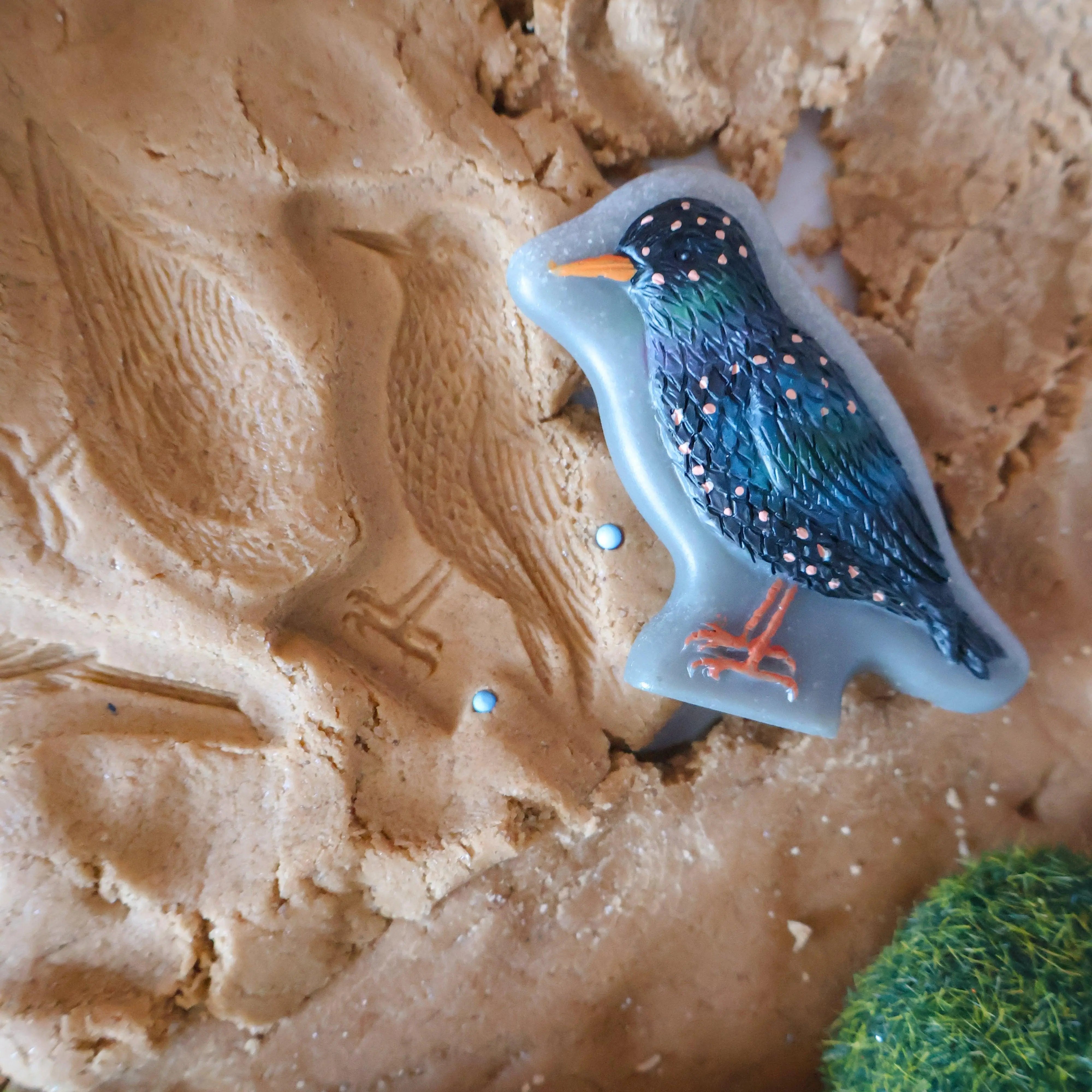Yellow Door // Sensory Play Stones - Birds Yellow Door