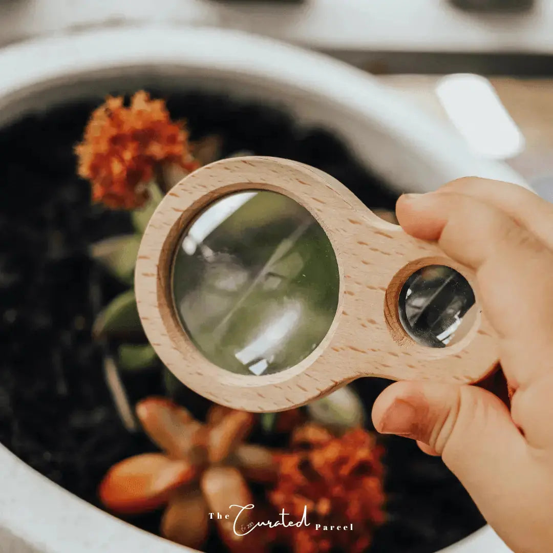 Handheld Dual Magnifier huckleberry