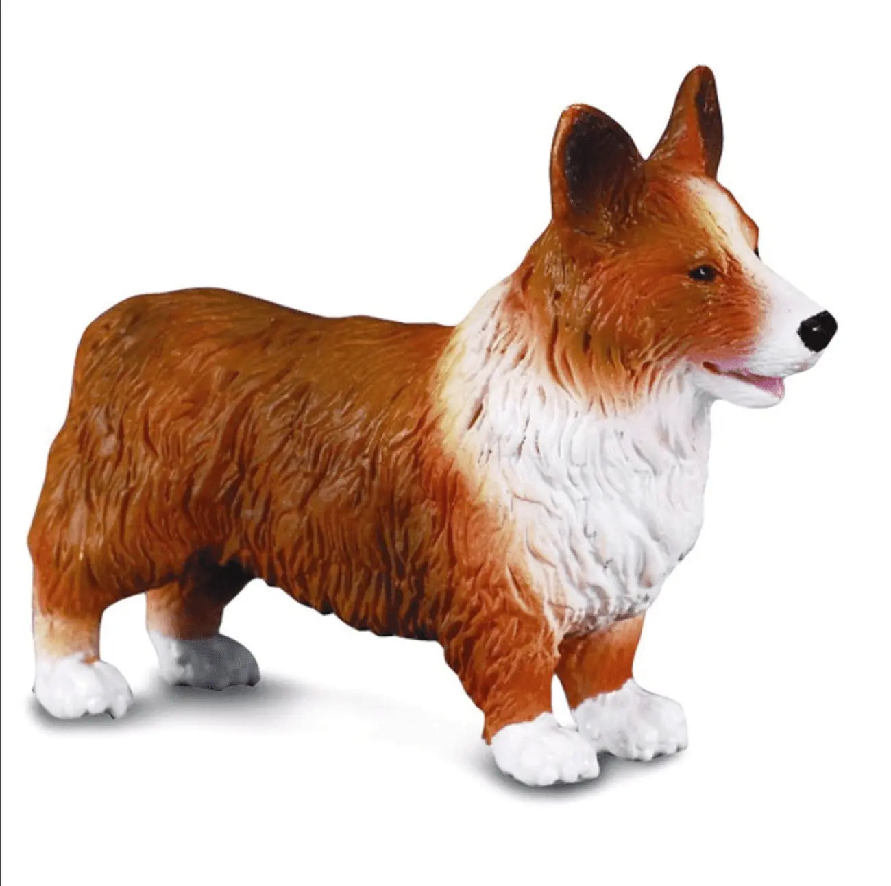 CollectA // Welsh Corgi CollectA
