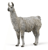 CollectA // Llama