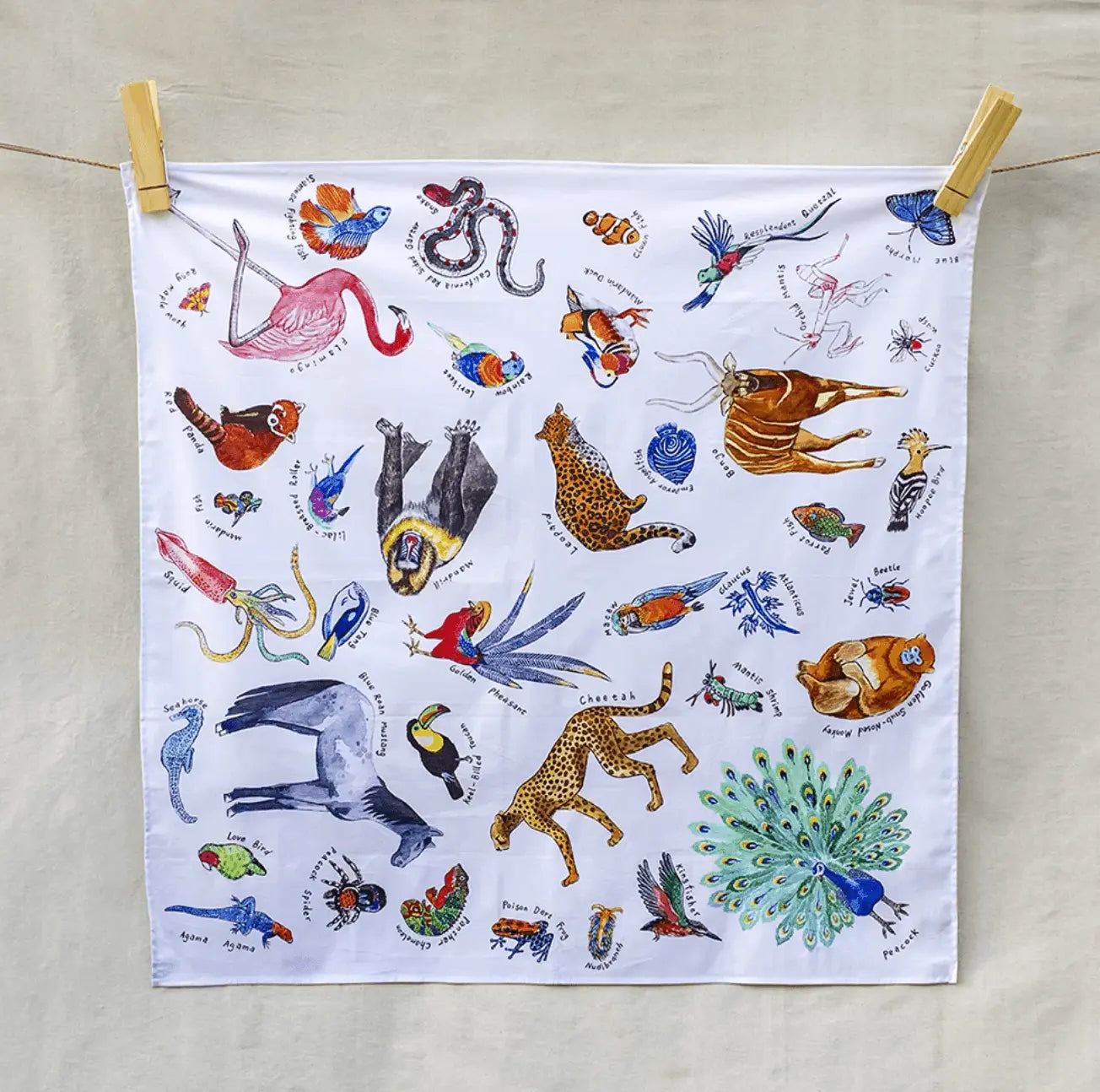 Wonderie // A Kingdom of Rainbow Animal Play Cloth Wonderie