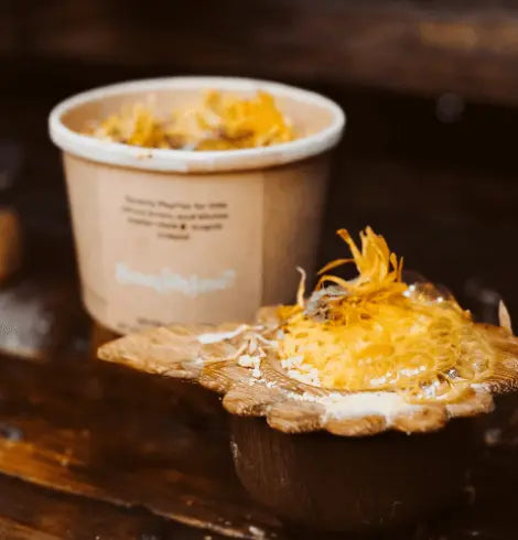 PlayFizz // Sunshine Crumble Cup Wild Child Mountain