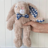 Louise Rabbit - Mini And the little dog laughed