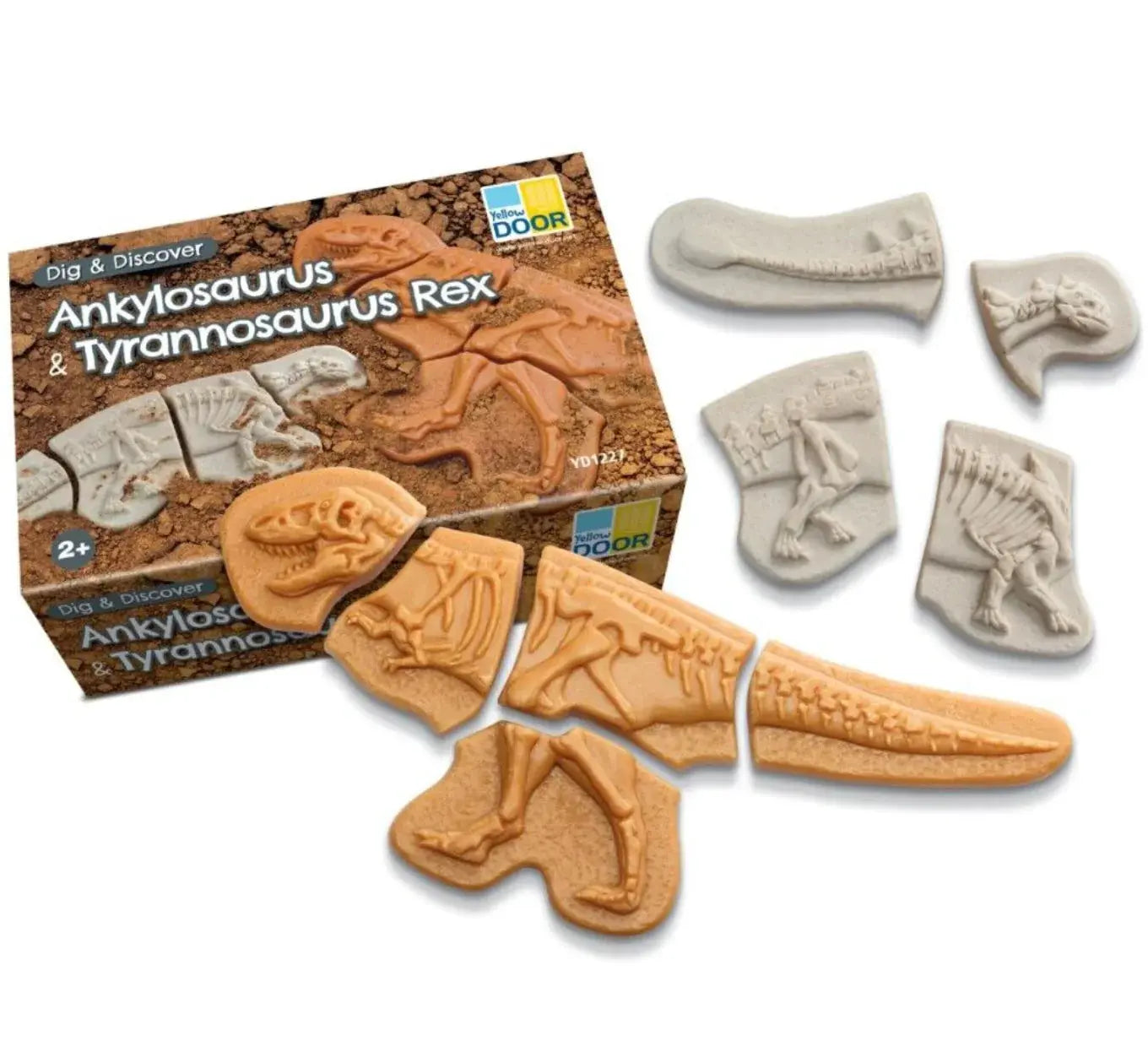 Yellow Door // Dig and Discover - Ankylosaurus & Tyrannosaurus Rex Yellow Door