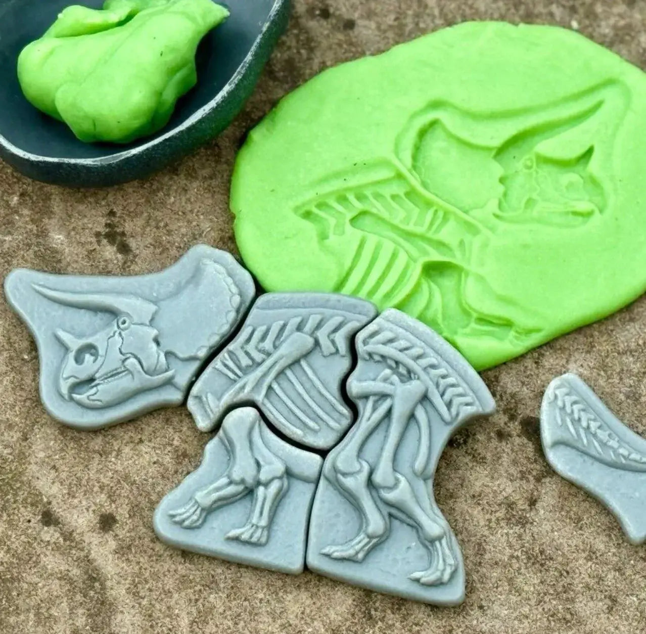 Yellow Door // Dig and Discover - Triceratops & Spinosaurus Yellow Door
