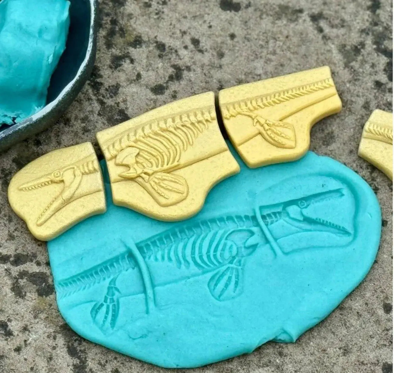 Yellow Door // Dig and Discover - Pliosaur & Stegosaurus Yellow Door