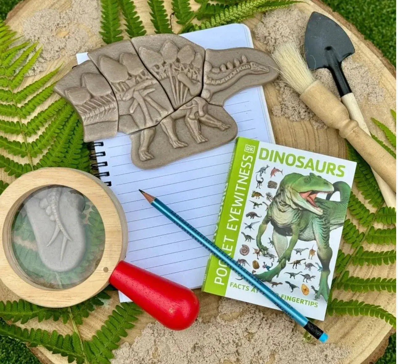 Yellow Door // Dig and Discover - Pliosaur & Stegosaurus Yellow Door