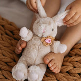 Winnie Rabbit And the little dog laughed