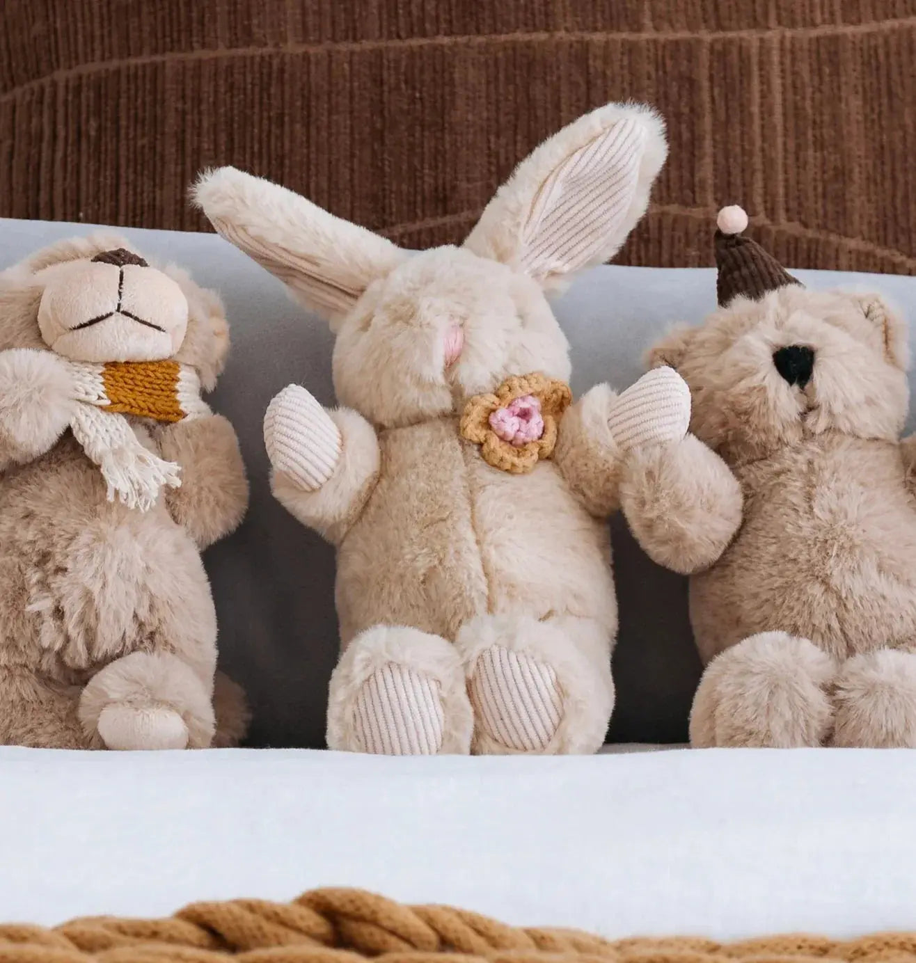 Winnie Rabbit And the little dog laughed