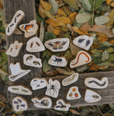 The Freckled Frog // Discovering Minibeasts