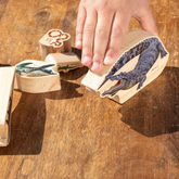 The Freckled Frog // Reptiles