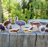 The Freckled Frog // Australian Animals