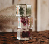 Our Earth Life // Trio Of Flora Specimens Our Earth Life