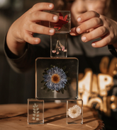 Our Earth Life // Flora Specimen Set