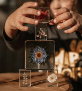 Our Earth Life // Flora Specimen Set Our Earth Life