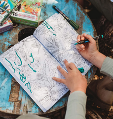 Your Wild Books // Your Wild Activity Book