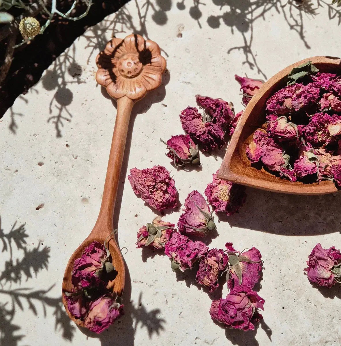 Evergreen Child // Daisy Bloom Spoon The Curated Parcel