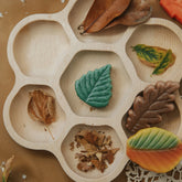 Yellow Door // Natural Flower Tray (7 section) Yellow Door