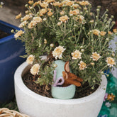 Felt Surprise Egg - Brown Bunny Inside