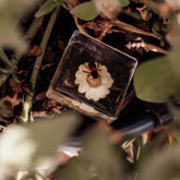 Specimen // Bee And Flower