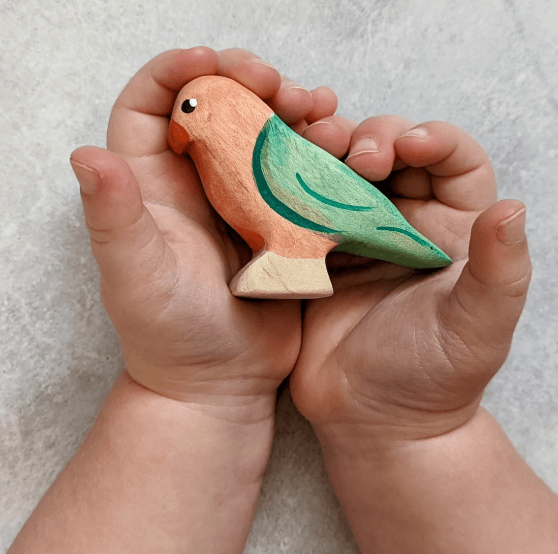 The Curated Parcel - NOM // King Parrot (Male) 