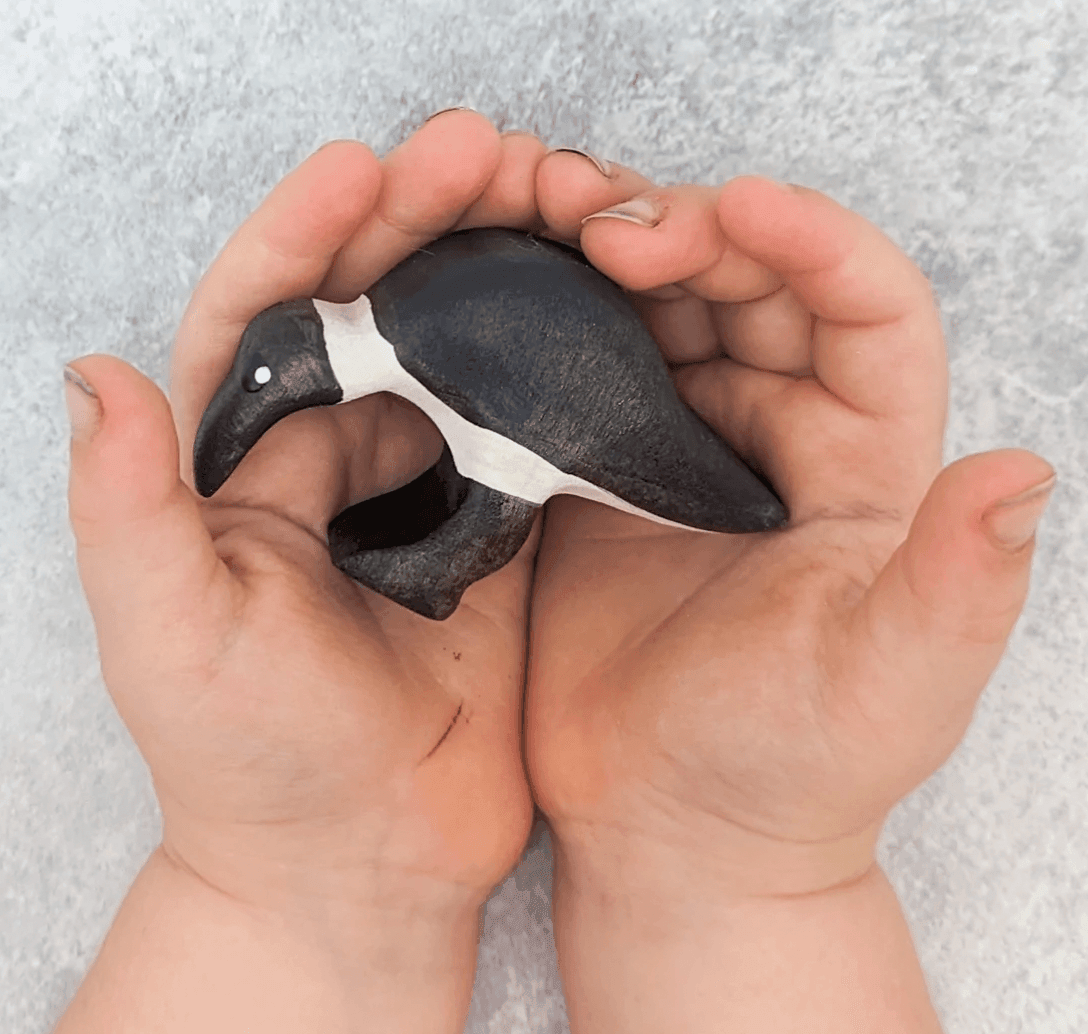 The Curated Parcel - NOM // Ibis Pecking