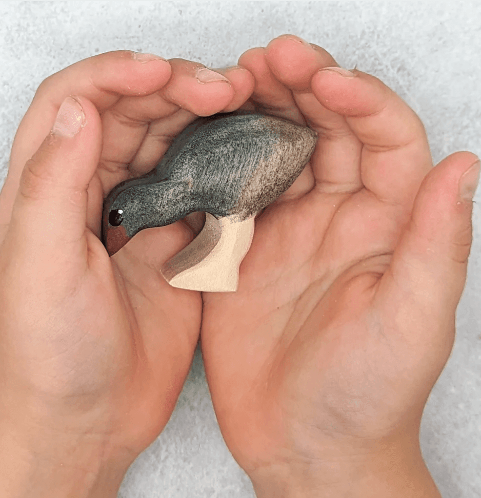 The Curated Parcel - NOM // Swamp Hen