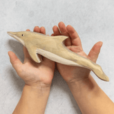 The Curated Parcel - NOM // Dolphin