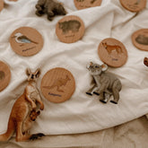 The Curated Parcel - Australian Animals Matching Pairs