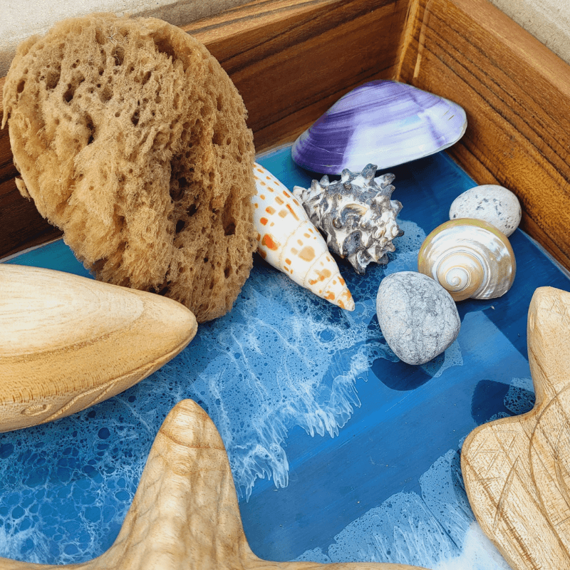 The Curated Parcel - Beachcomber Set (14pcs)