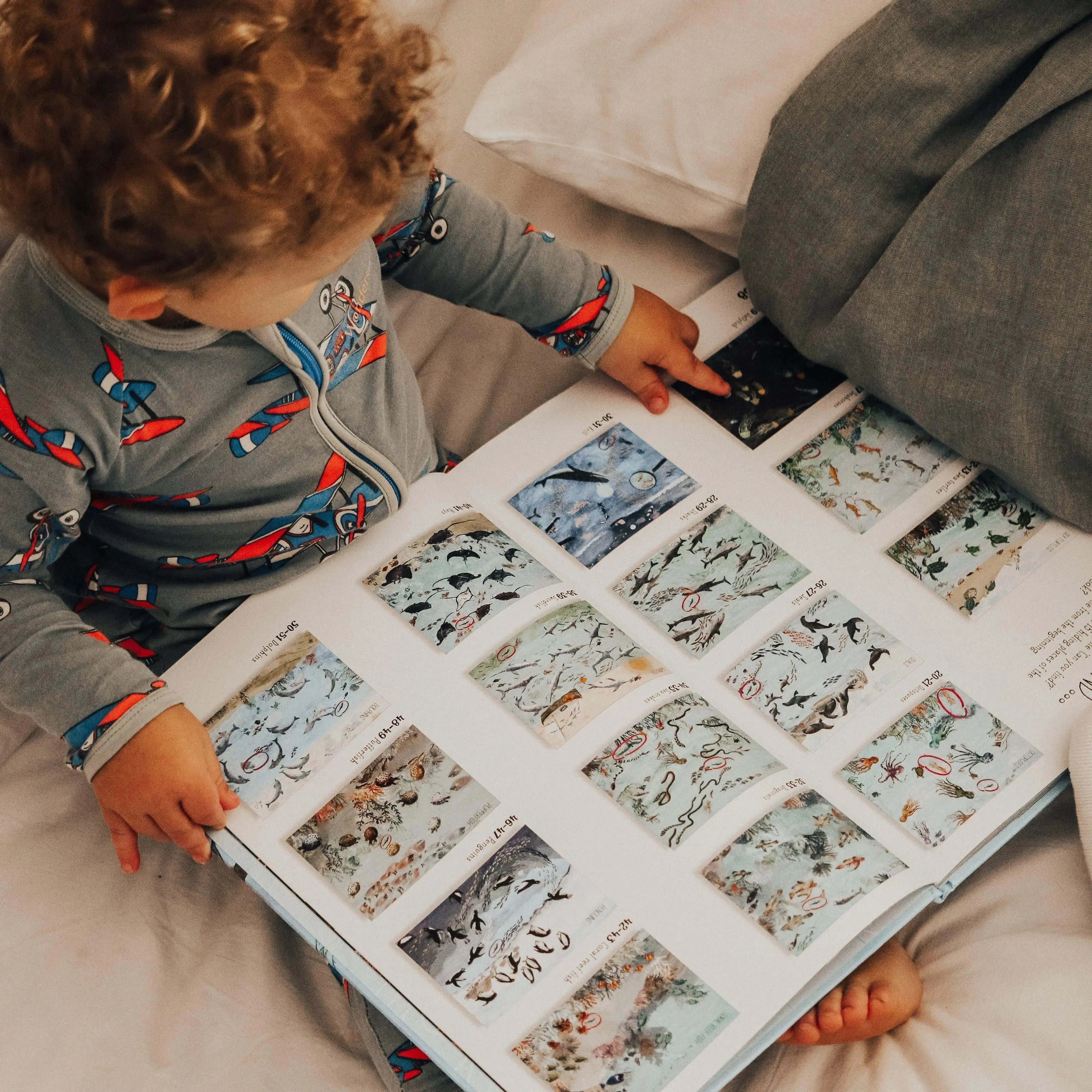 The Curated Parcel - Book Subscription Box (Mixed Age)