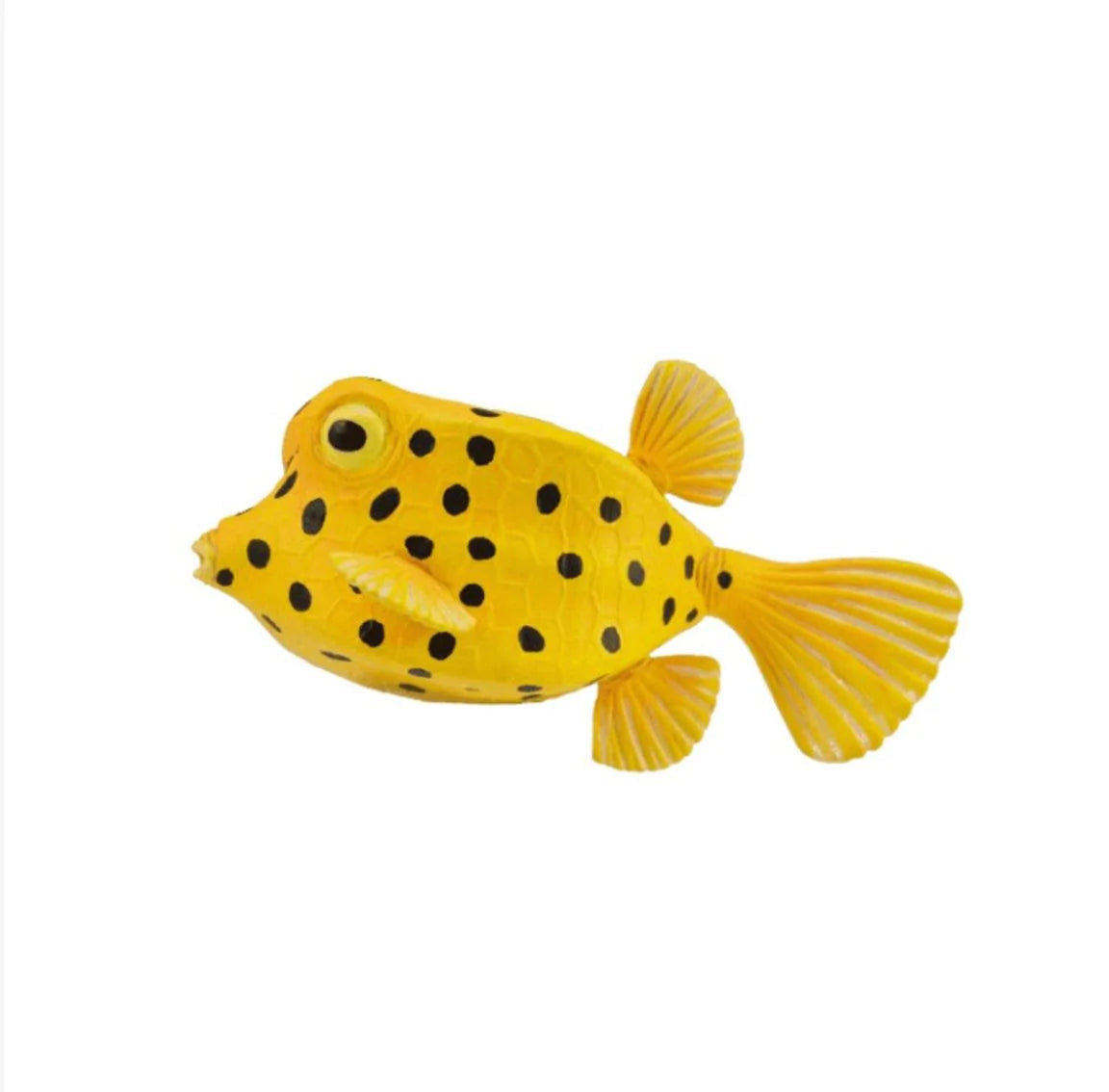 The Curated Parcel - CollectA // Boxfish 