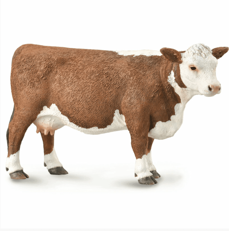 The Curated Parcel - CollectA // Hereford Cow 
