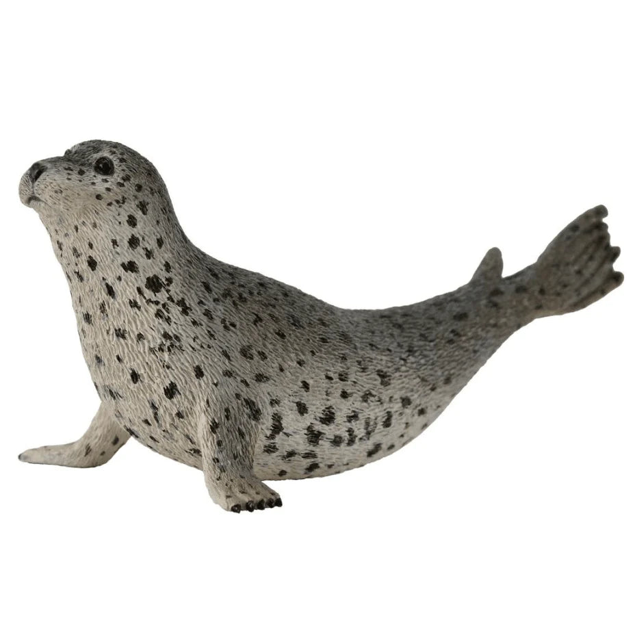 The Curated Parcel - CollectA // Spotted Seal 