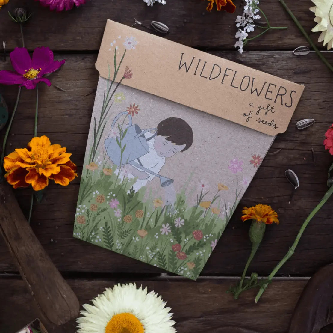 The Curated Parcel - Gift Of Seeds // Wildflower