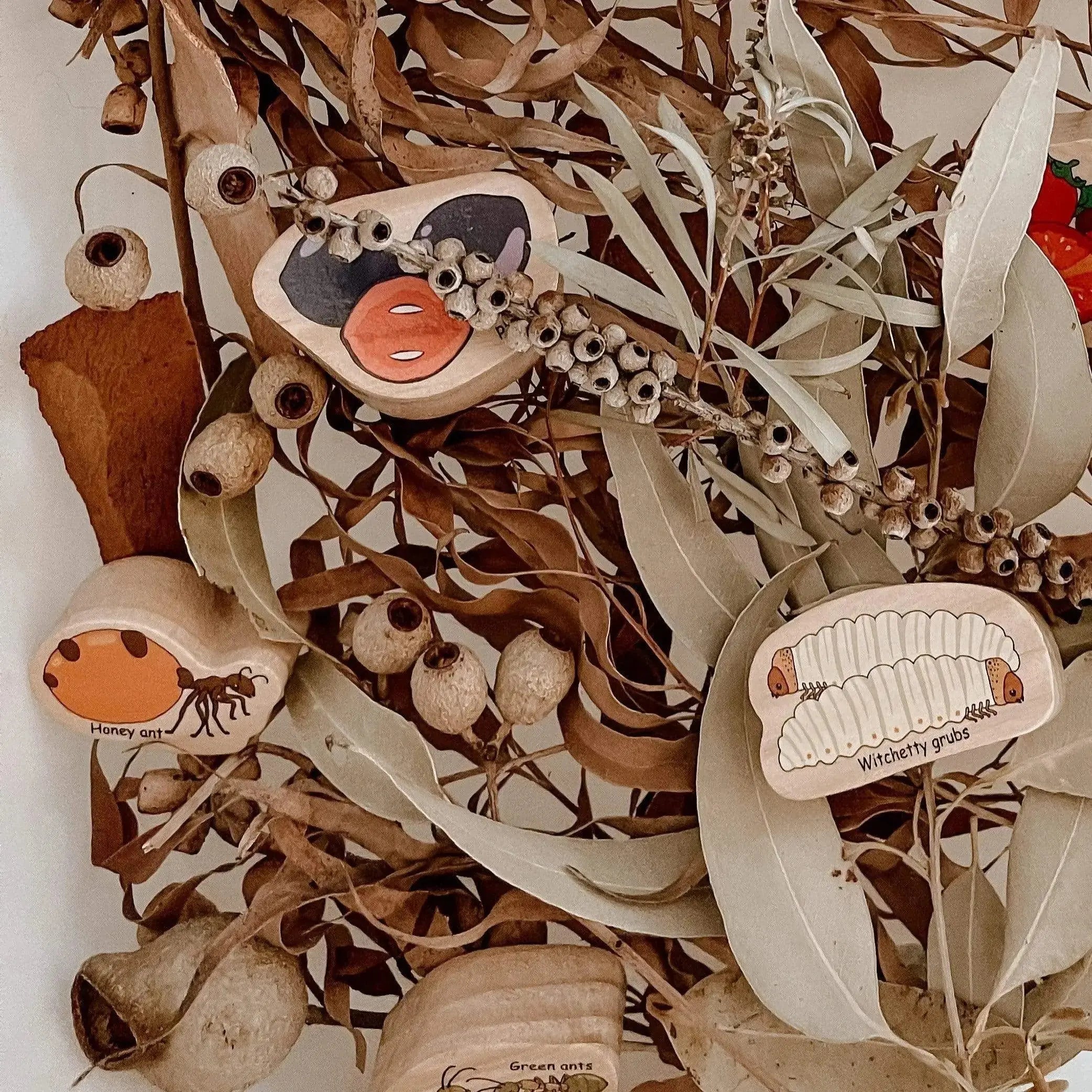 The Curated Parcel - Indigenous Bush Tucker