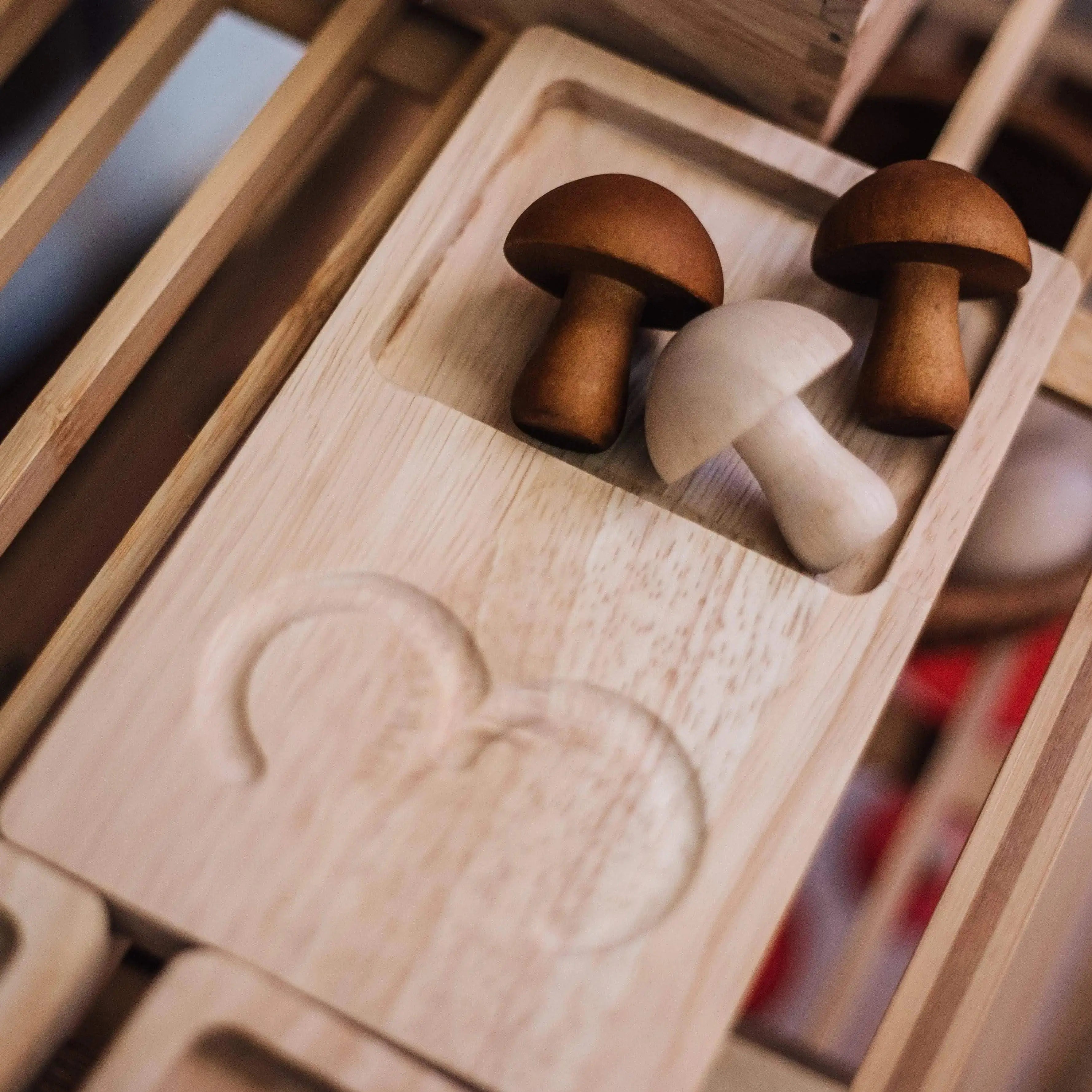 The Curated Parcel - Jumbo Counting & Collection Trays