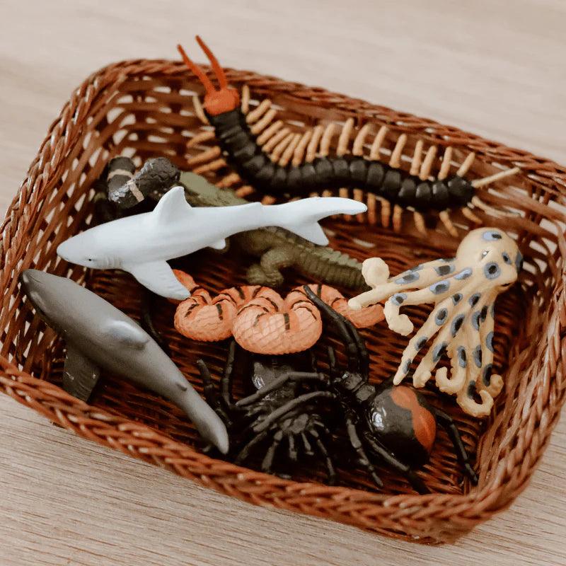 The Curated Parcel - Nature Tube // Australia's Deadliest