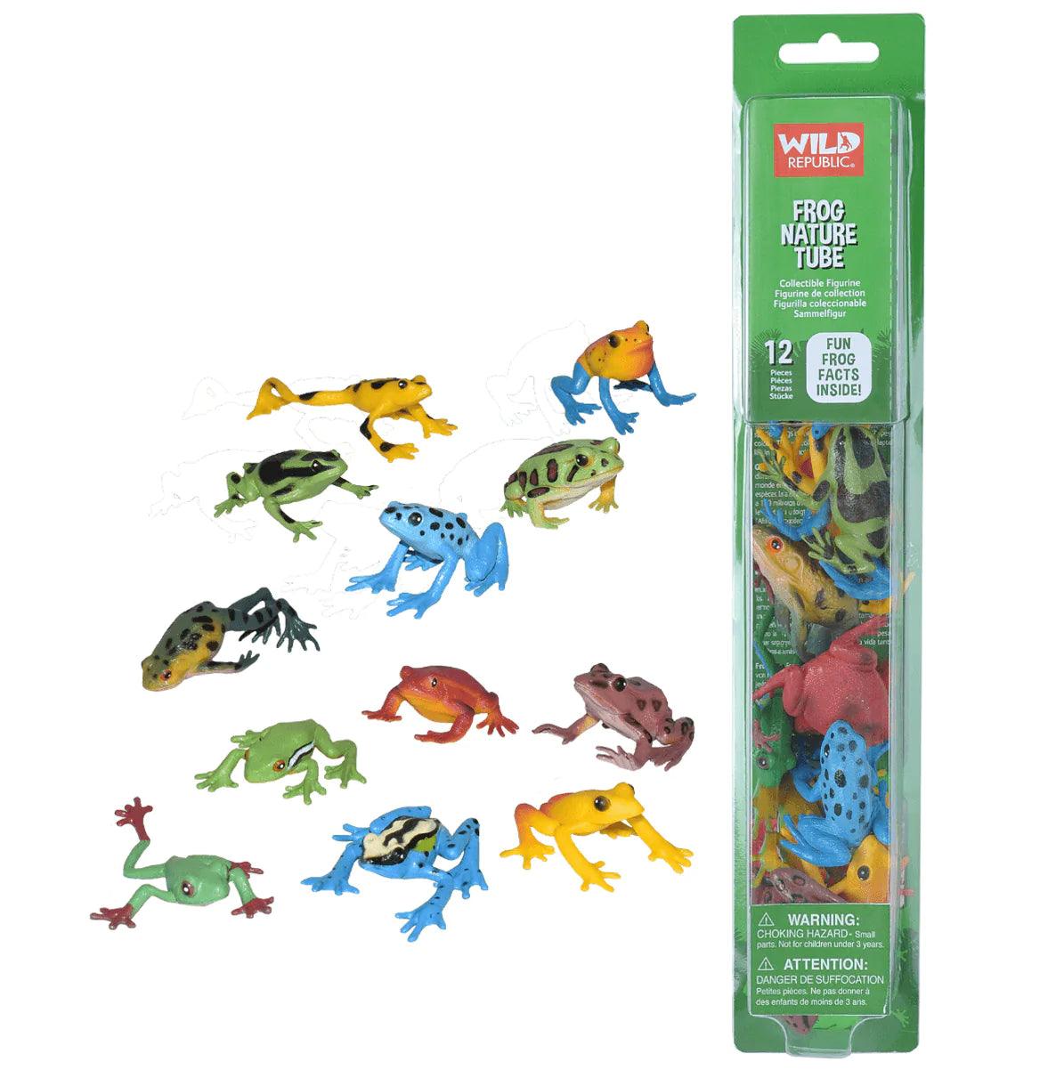 The Curated Parcel - Nature Tube // Frog