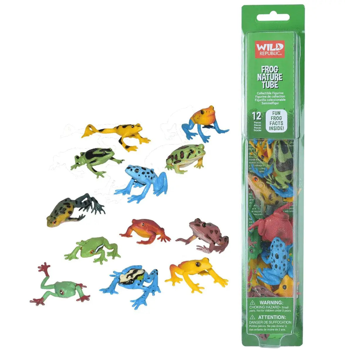 The Curated Parcel - Nature Tube // Frog