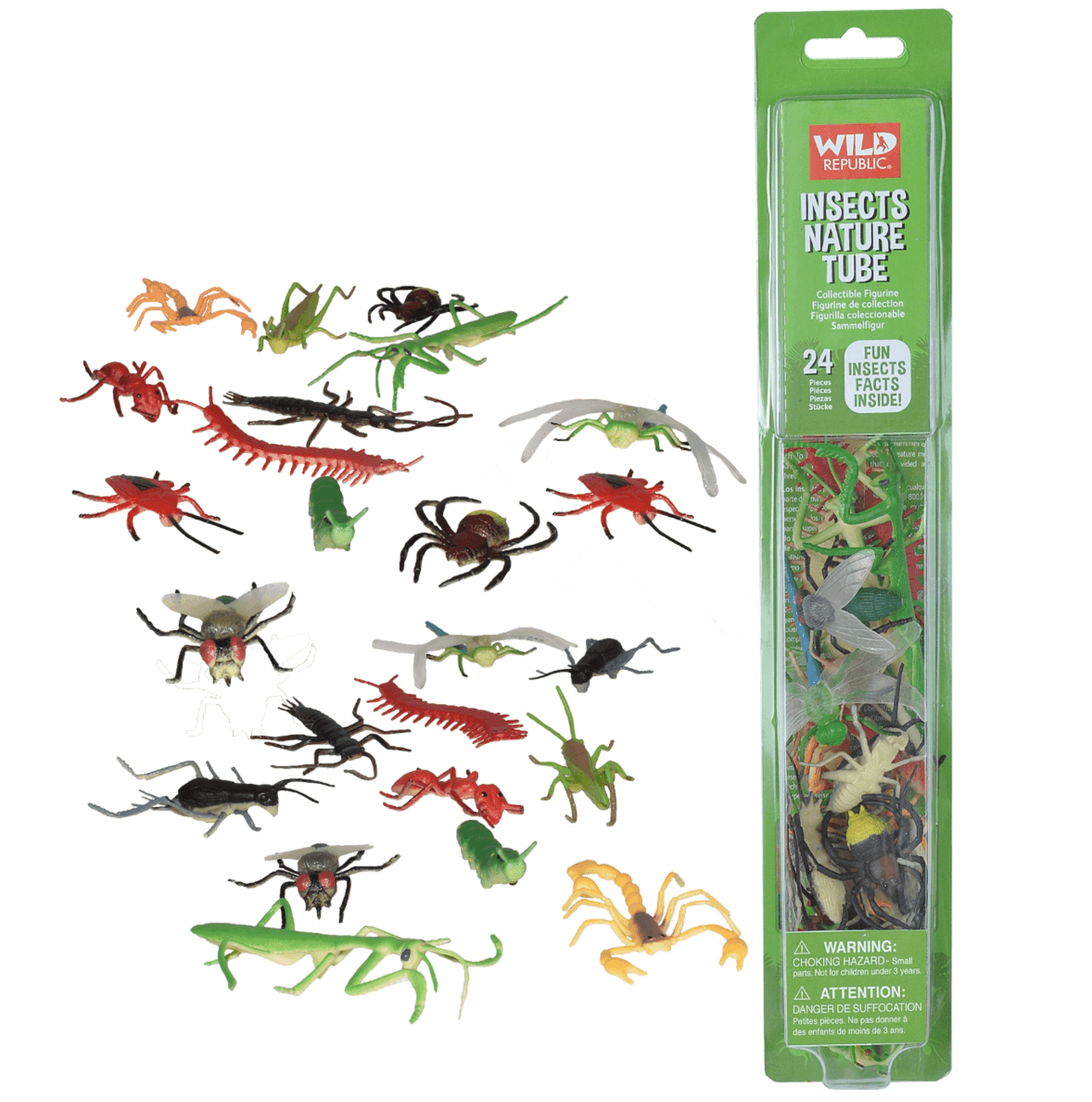 The Curated Parcel - Nature Tube // Insect