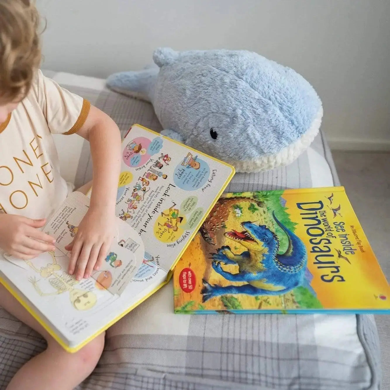The Curated Parcel - Play & Learn Boxes (3-5 Years)