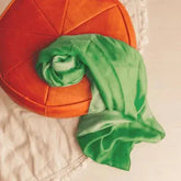 The Curated Parcel - Play Silkies Spring Silk